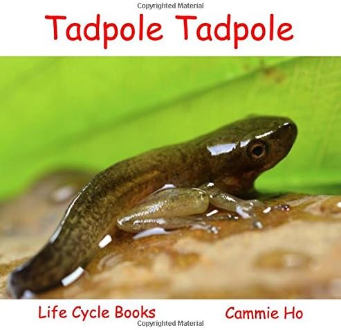 Tadpole Tadpole (Life Cycle Books)