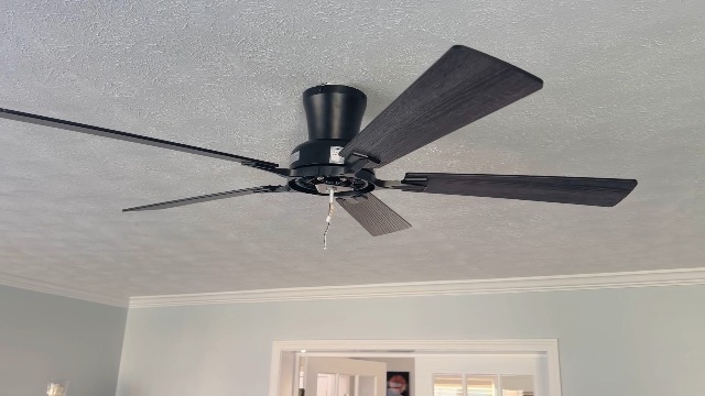 Amazon.com: Ayaoty Ceiling Fans with Lights - 52in Flush Mount