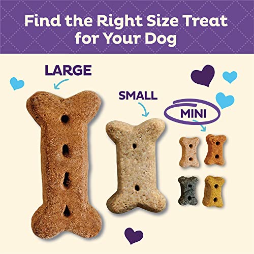Previous Mom Hubbard by Wellness Traditional Pure Pet Treats, Crunchy Oven-Baked Biscuits, Perfect for Coaching, Mini Dimension Canine Treats, 20 ounce bag Previous Mom Hubbard by Wellness Traditional Pure Pet Treats, Crunchy Oven-Baked Biscuits, Perfect for Coaching, Mini Dimension Canine Treats, 20 ounce bag