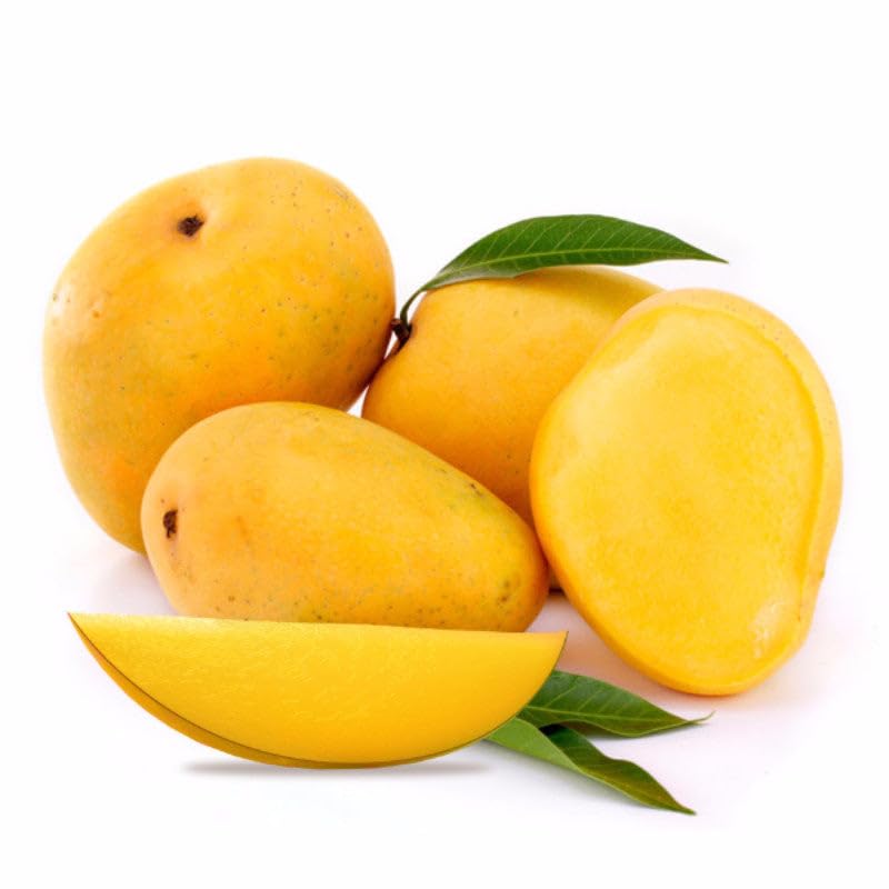 Mphmi Mango Kesar pune (Grafted)-Fruit Plants & Tree Mumbai Nursery (B0CX9GCN13) Amazon Price History, Amazon Price Tracker