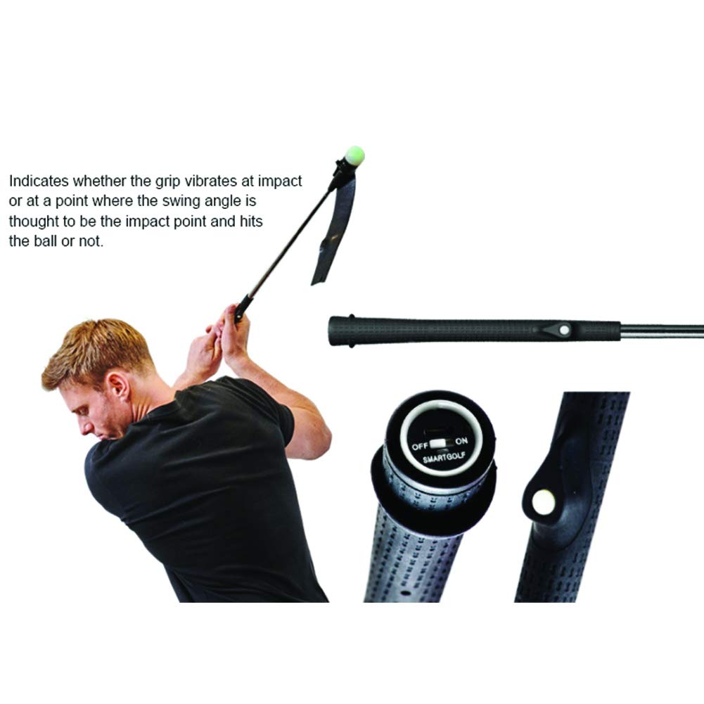 Amazon | SMARTGOLFインドアゴルフスイング＆パッティング