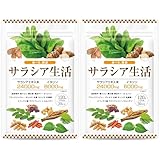 【医師監修】サラシア24000mg イヌリン 6000mg 国産菊芋 桑の葉 16種類の厳選成分 30日分 120粒 GMP国内工場製造 サラシア生活 (2袋)
