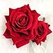 Flower Hair Combs, Rose Flower Bohemia Hairpin Bride Costume Hair Decor for Party Wedding Red(1pc)