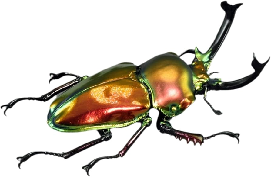 Amazon.co.jp: BACALYSO | 涅槃 ニジイロクワガタ フィギュア