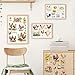 Shejdgart Chicken Rub on Transfers for Crafts - 6 Sheets Farm Rub on Transfer Stickers for Furniture Sunflower Rub on Transfers for Wood Glass Scrapbook DIY Home Decor 11.8x7.9 Inch