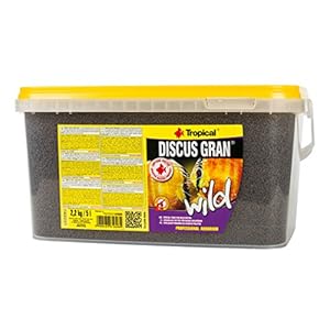 Tropical Discus Wild, 1er Pack (1 x 5 l)
