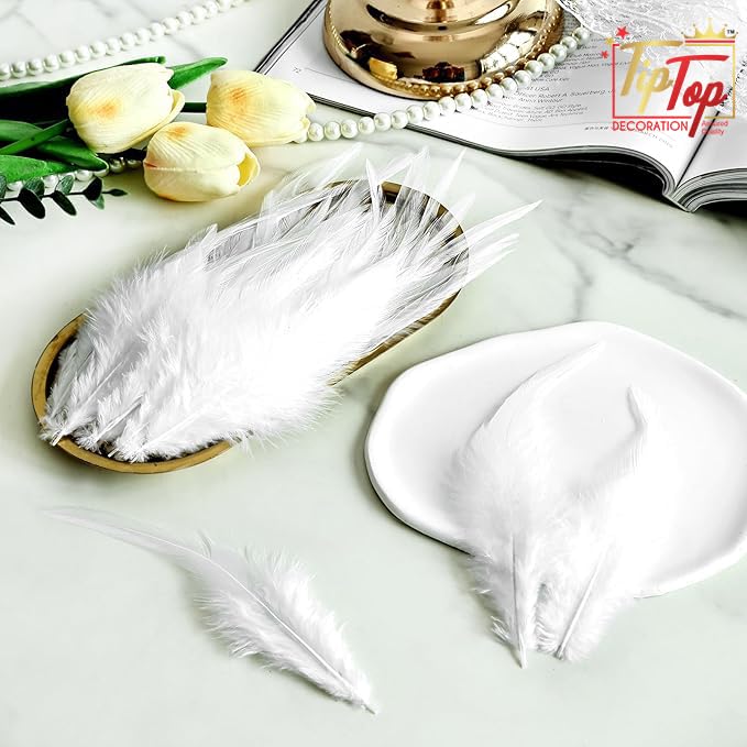 Tiptop Decoration Natural Dyed Pointed Feathers (10-15 Cm) (50 Pieces) (Natural Wild White) 1