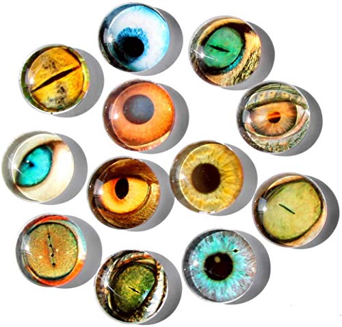 Cosylove - Juego de 12 imanes de cristal para nevera, creativos, para decoración del hogar, magnéticos, para pizarras borrables, fotos, notas