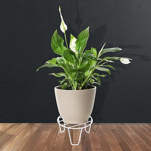 See full amazon price history chart for Stomata Gardens Plant Stand For Balcony, Flower Pot Stand, Pot Stand For Outdoor Plants, Planter Stand, Stands For Pots For Plants, Plant Stand For Indoor Plants (pack of 1) Stomata Gardens Plant Stand For Balcony, Flower Pot Stand, Pot Stand For Outdoor Plants, Planter Stand, Stands For Pots For Plants, Plant Stand For Indoor Plants (pack of 1) (B0CQXS19MP) Amazon Price History, Amazon Price Tracker