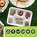three leaf 6 Compartment Bagasse Tray 50 Ct. Heavy Duty, Super Strong,Eco Friendly Disposable Bagasse Plates,100% Biodegradable Plates, Microwave and Freezer Safe, Ideal for Party, Dinner and Picnic