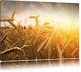 Leinwandbilder sind eine wunderschöne Möglichkeit Ihre Wohnräume zu gestalten. Verschönern Sie Ihr Wohnzimmer, Schlafzimmer, Kinderzimmer, Küche, Flur, Arbeitszimmer oder Büro und gestalten sie sich Ihr persönliches Wohlfühlambiente. Und für das geschäftliche Ambiente, wie zum Beispiel in Hotelzimmern oder Gewerberäume, sind unsere Deko-Bilder auch bestens geeignet und beeindrucken so Ihre Kunden.