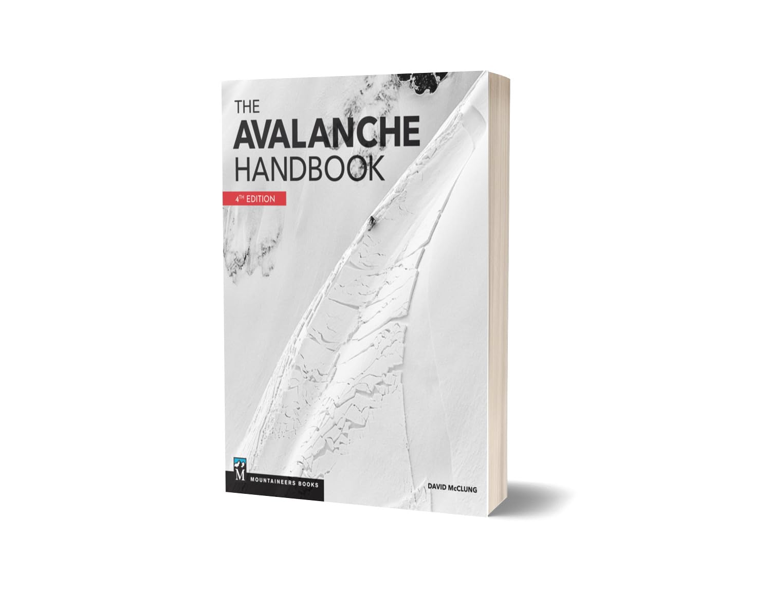 The Avalanche Handbook      Paperback – January 4, 2023