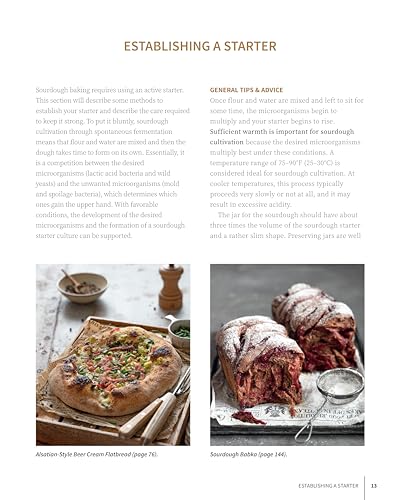 Image of Artisan Sourdough: Bread and Beyond: Care & Feeding of Your Sourdough Starter Plus Recipes for European Breads, Pastas, Pancakes, Desserts, and More (Fox Chapel Publishing)
