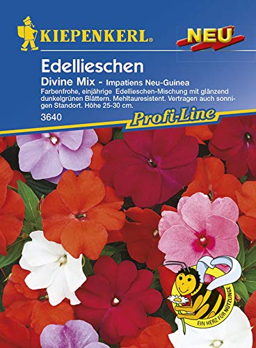 Preisvergleich Produktbild Kiepenkerl 3640 Edellieschen Divine Mix (Edellieschensamen)