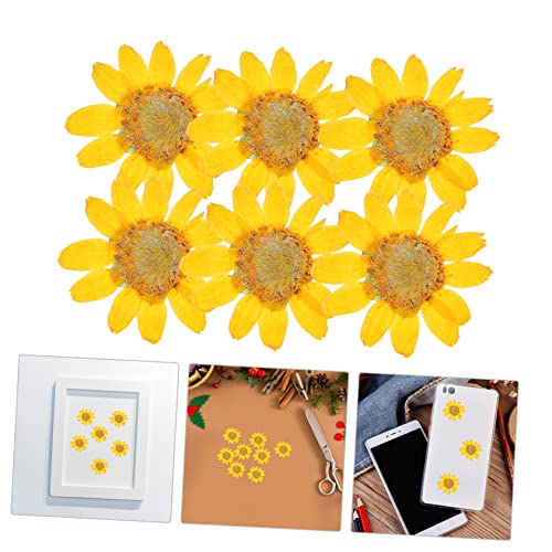 Flores Margaritas Secas para Artesanías Resina 24 piezas miniatura 4