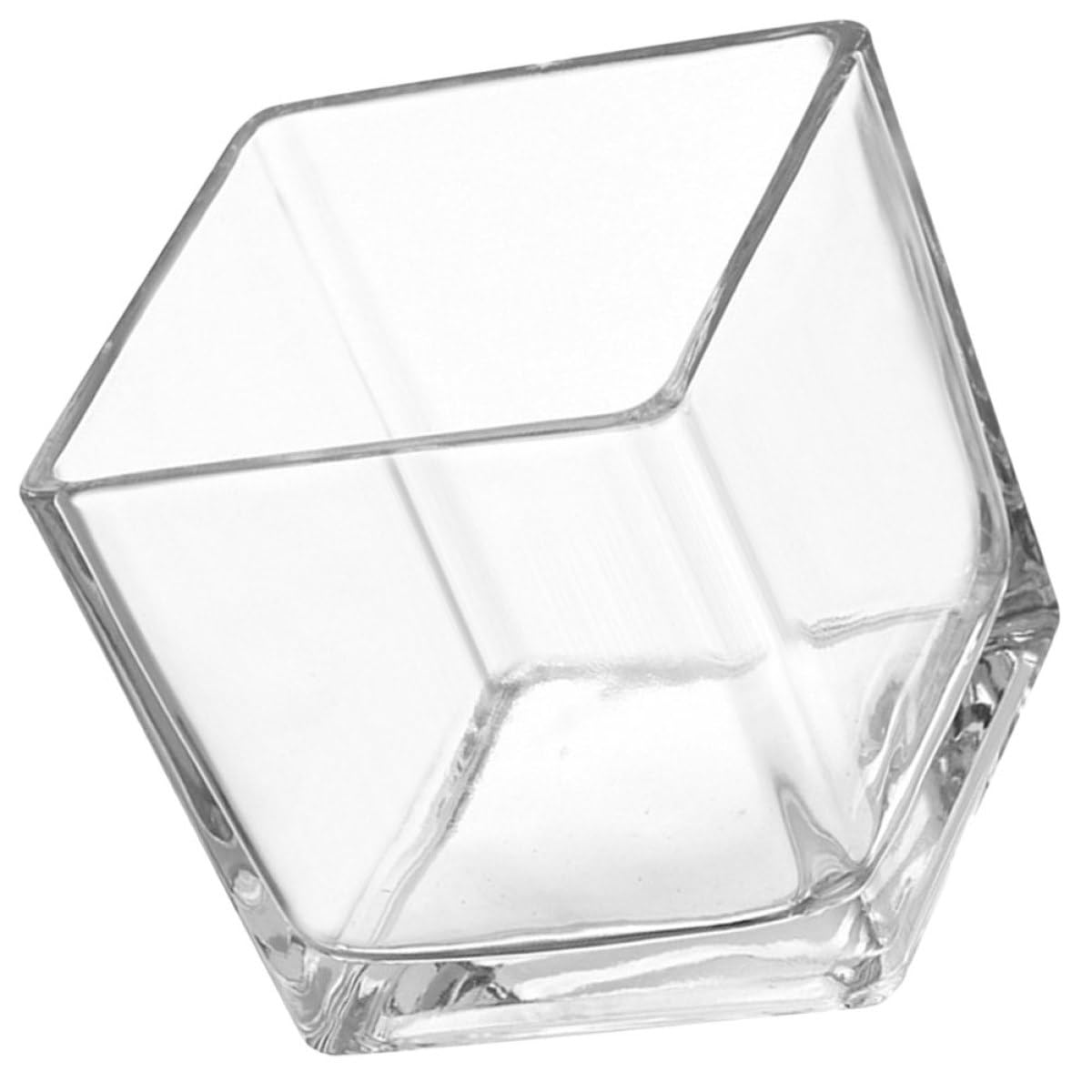 Vase Carré en Verre Transparent Luxshiny Pot Fleurs Fraîches Succulentes