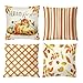 Aitsite Federe Cuscini Divano 45x45cm Autunno, Decorazione Copri Cuscini Per Divano Autunnale Copri Cuscini Decorativi Per Divano Giardino E Camera Da Letto, Soggiorno, Divano immagine