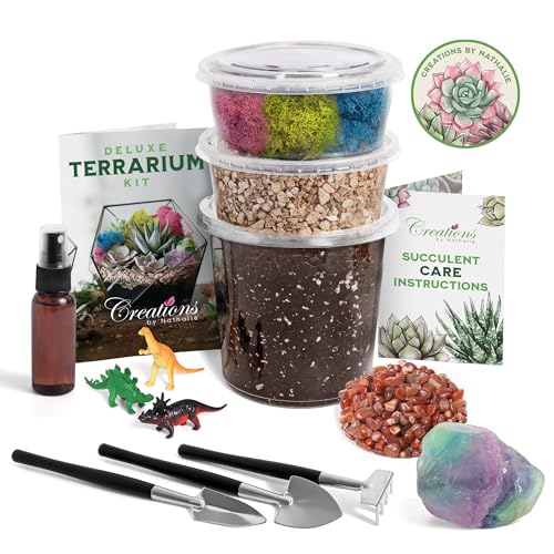 Creations by Nathalie – Premium Small DIY Terrarium Kit for