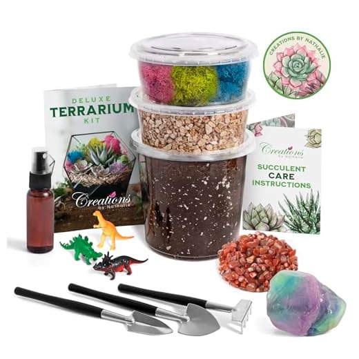 Creations by Nathalie – Premium Small DIY Terrarium Kit for Succulents, Cacti & Air Plants, Includes Soil, Moss, Pebbles, Tools, Amethyst Gem & Crystal Chips – Handmade in USA