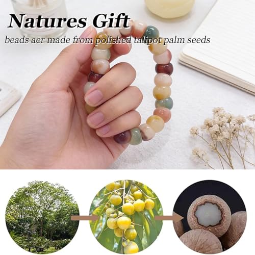 Image of Natural Bodhi Seed Bracelets Anxiety Fidget Bracelets Anxiety Relief Items Protection Healing Stretch Bodhi Fidget Bracelet for Women Men