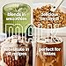 MALK Almond Milk Unsweetened Vanilla (32oz, Pack of 6) - Shelf Stable Organic Almond Milk Vanilla, Non GMO, Whole 30, Dairy Free, Vegan, Plant Based, No Gums or Fillers - Lattes Cereal Coffee Creamer