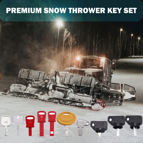 WAH LIN PARTS 10 Snow Blower Keys Lawn Mower Keys Fits Toro, MTD, Cub