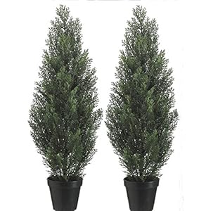 Two 3 Foot Outdoor Artificial Cedar Trees Potted Plants