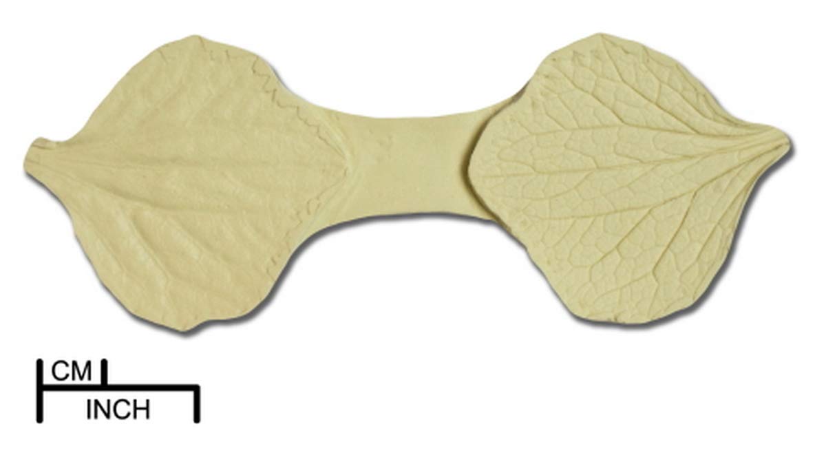 Cineraria Leaf Veiner - Image 2