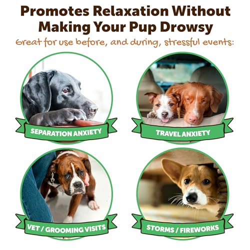 Rileys-Calming-Peanut-Butter-for-Dogs-Dog-Peanut-Butter-Calming-Aid-Separation-Anxiety-Relief-for-Dogs-846-oz - Cucciolini Doodles Rileys-Calming-Peanut-Butter-for-Dogs-Dog-Peanut-Butter-Calming-Aid-Separation-Anxiety-Relief-for-Dogs-846-oz