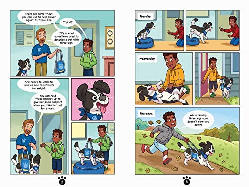 Animal Rescue Friends: Learning New Tricks (Volume 3) - Image 3