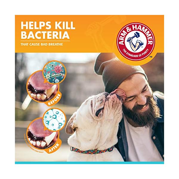 Arm & Hammer Dog Dental Care Fresh Breath Enzymatic Toothpaste for Dogs | No More Doggie Breath | Safe for Puppies, Clinical Care, Vanilla Ginger Flavor – 1 Pack Arm & Hammer Dog Dental Care Fresh Breath Enzymatic Toothpaste for Dogs | No More Doggie Breath | Safe for Puppies, Clinical Care, Vanilla Ginger Flavor – 1 Pack