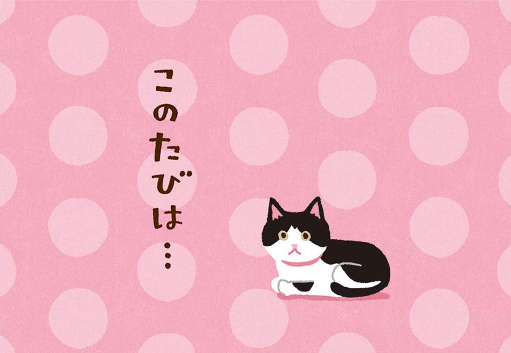 Sanrio Thank You Cat Kotoha Sankyu TY17-9 L 217