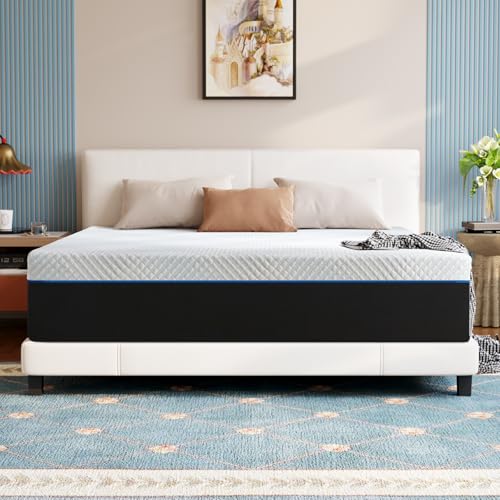 Twolike 10 inch Memorys Foam Queen Size Mattress Medium Firmness with Supportive and Pressure Relieving Queen Mattres