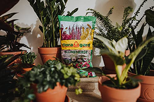 Floragard - Terriccio per fiori da 40 L, terriccio...