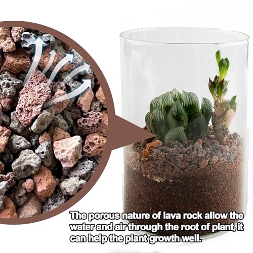 Image of 3lb Lava Rocks for Plants - Horticultural Volcanic Gravel for Drainage in Succulents, Bonsai, Terrariums and Landscaping