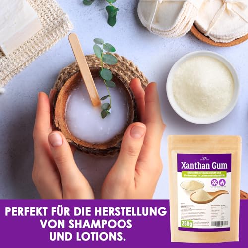 AVIDA ZEN Xanthan Gum Pulver, Bindemittel in Lebensmittelqualität, Veganer und glutenfreier Stabilisator für Eis, Suppen, Soßen, Xanthangummi Soßenbinder (250g)