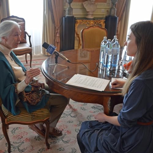 Perspektiven: Jane Goodall – Die Mutter der Schimpansen Podcast Por  arte de portada