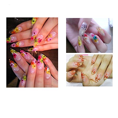 Xichen 120 Pcs/ 2Boxes Five Flower Flower Three-Dimensional Applique 3D Nail Stickers Nail Supplies Dried Flowers（Starry And Five Flower） #TOP3