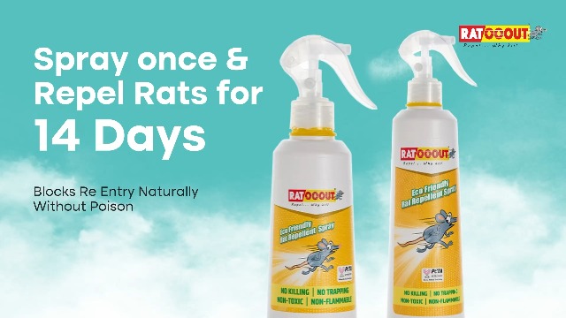 Watch India’s 1st Smell Based Rat Repellent Spray on Amazon Live