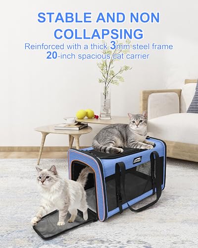 Soft-Sided Large Cat Carrier for 2 Cats, Spacious Foldable Pet Travel Carrier for Large Cats up to 25 Lbs, Double Cat Bag with Shoulder Strap, 20x13x13 Inch, Fits Maine Coon and Small Dogs, Blue - Image 4