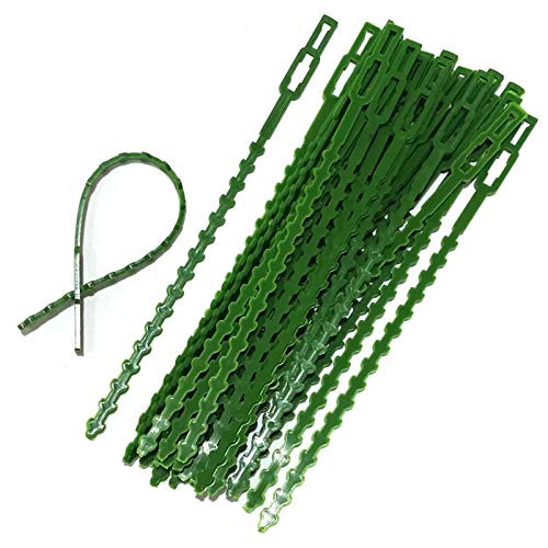 HASTHIP® 30pcs 23cm Plant Twist Ties, Branch Support Ties for Flowers Amaryllis Tomatoes Peony Lily Rose (B09XXSKLM2) Amazon Price History, Amazon Price Tracker