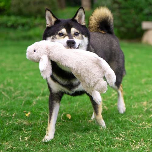 Image of Best Pet Supplies Squeaky Dog Toys with Soft Durable Fabric for Small, Medium and Large Pets Interactive Toy for Indoor Play, Supports Active Biting and Play - Hare, Medium