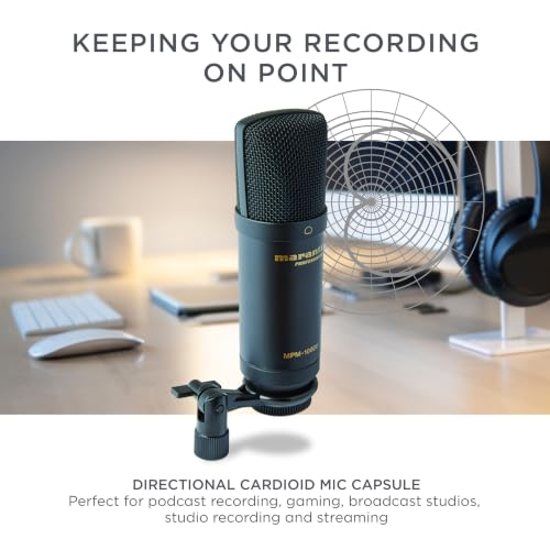 View 4