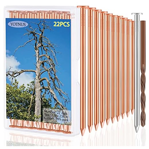 YOTNUS 20 Pcs Copper Nails for Killing Trees, Stumps & Roots - 3.5 Inch Long Come with Steel Nails Drill Nails Enabling the Copper Nails to Drive Into the Stump Without Bending