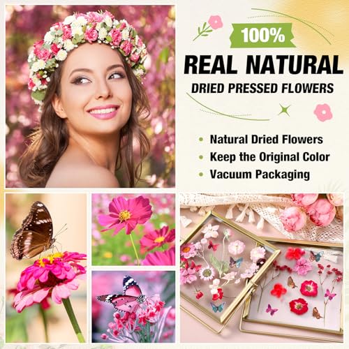 160 piezas flores prensadas secas rosas con stickers miniatura 2
