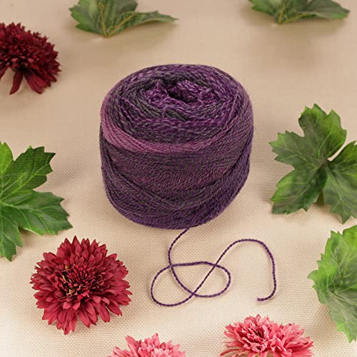 Jubileeyarn Merino Carnival Yarn - Ombre Sport Weight Merino Wool - 100G/Cake - Furlana - 2 Cakes #TOP2