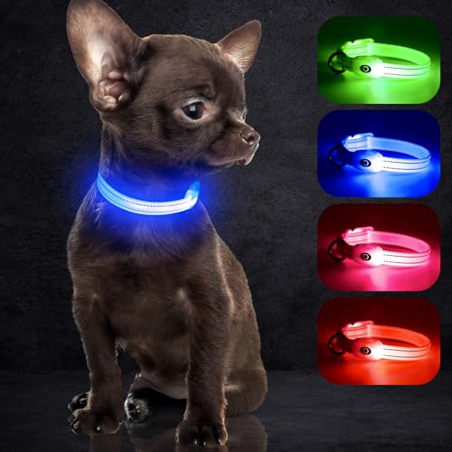 YFbrite Leuchtende Hundehalsbänder, USB-aufladbares LED-Hundehalsband, verstellbares LED-Katzenhalsband für Katzen, Welpen, kleine, mittelgroße und große Hunde (Blau, XS)