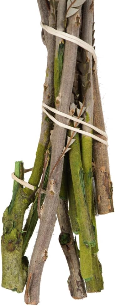 Vickerman 12" Autumn Banksia Foliage & Flowers-Preserved, 4 oz Bundle