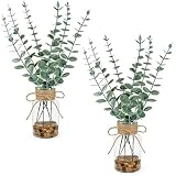 unlemoni 2 Pack Artificial Eucalyptus Stems in Glass Vases, 14' Fake Plants with Faux Water Stones, Small Faux Plants for Kitchen Bathroom Shelf Coffee Table Decor (Green)