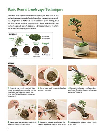 Miniature Japanese Gardens: Beautiful Bonsai Landscape Gardens for Your Home